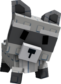 Raccoon