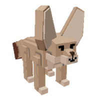 Fennec Fox